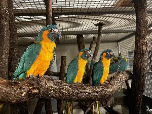 Leipzig: Das Jahr 2026 startet mit magischem Lichterfest